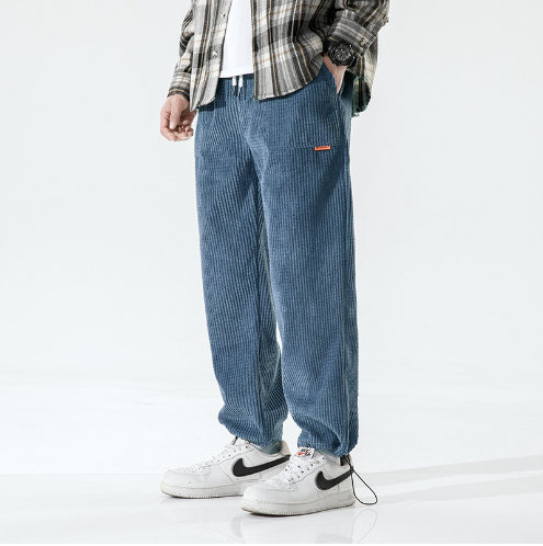 Thibaut - Pantalon en velours côtelé tendance